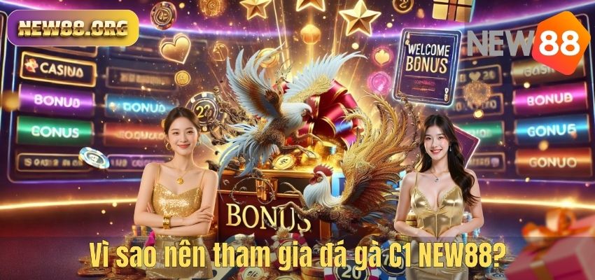 Vì sao nên tham gia đá gà C1 NEW88?